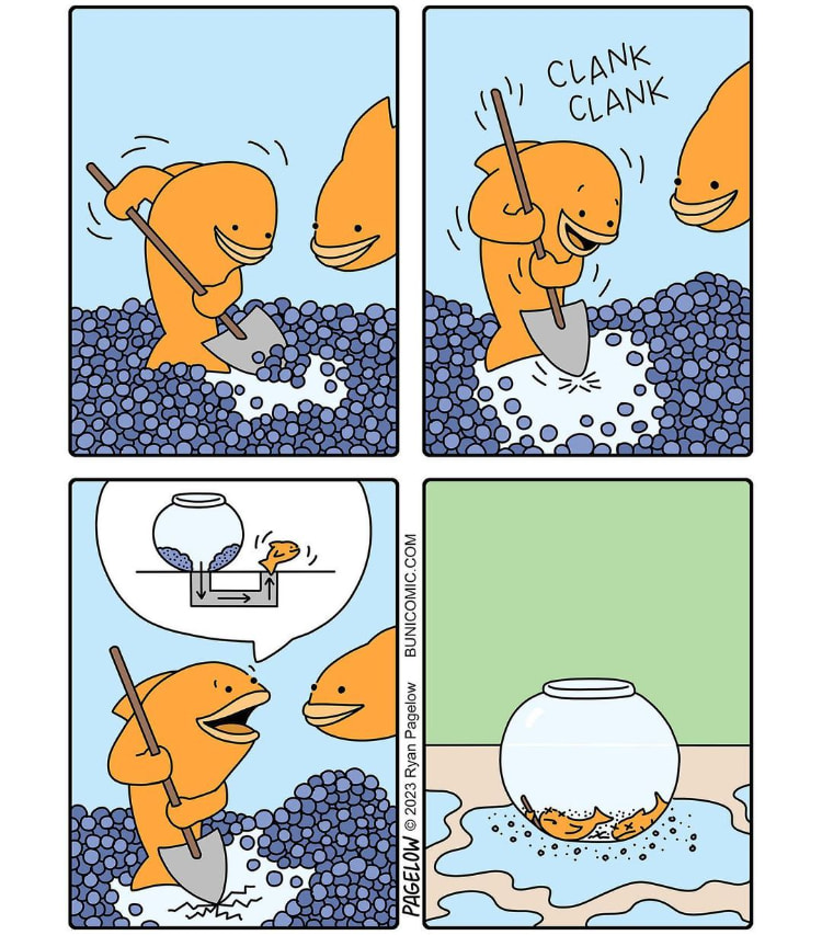 357847996_1214498615888055_6174820214874320611_n.jpg